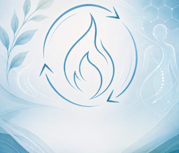 /assets/images/b/ChatGPT%20Image%2019.%20Mai%202026%2C%2011_15_32%20%283%29-5ddkjqxp5c8sc1k.png