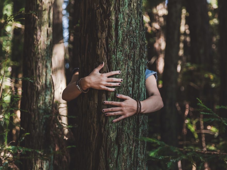 /files/dateien/bilder/trent-haaland-yIsjn-IGWqc-unsplash-880x660.jpg
